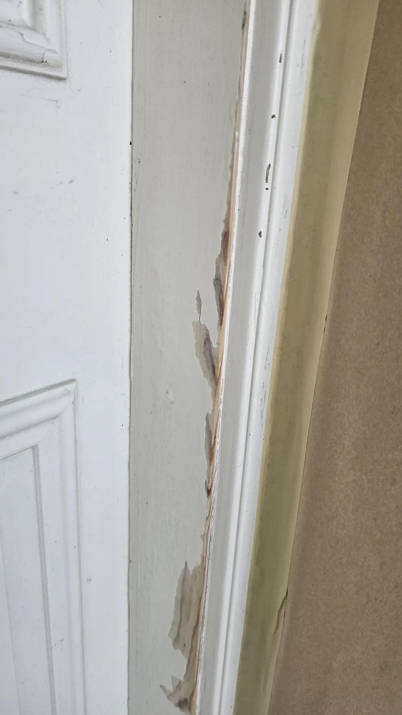 Worn exterior front door with peeling paint before restoration and repainting in Sarasota, Florida.